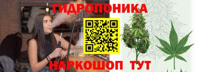 a pvp Лесосибирск