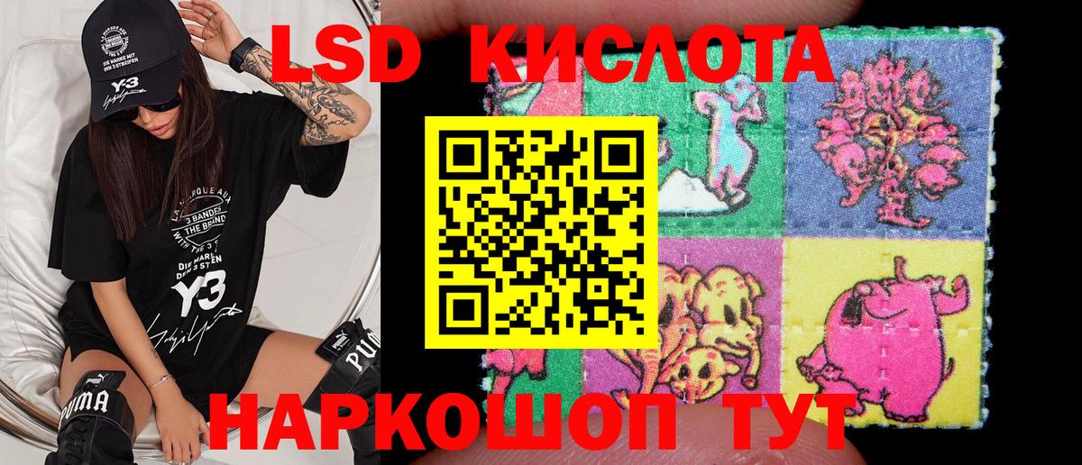 Наркотические марки 1,5мг  Наркотические марки 1,5мг  Ртищево  Вход с VPN 