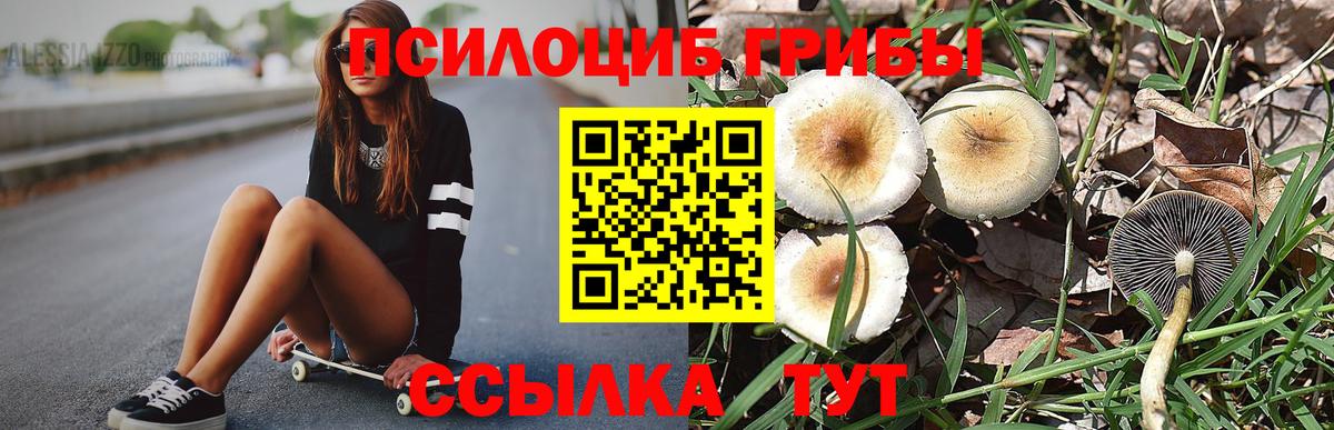 Ртищево  Галлюциногенные грибы мицелий  Вход с VPN  Галлюциногенные грибы Psilocybine cubensis 