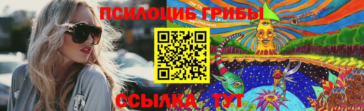 Псилоцибиновые грибы Psilocybine cubensis Ртищево